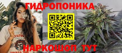 мдпв Усть-Илимск