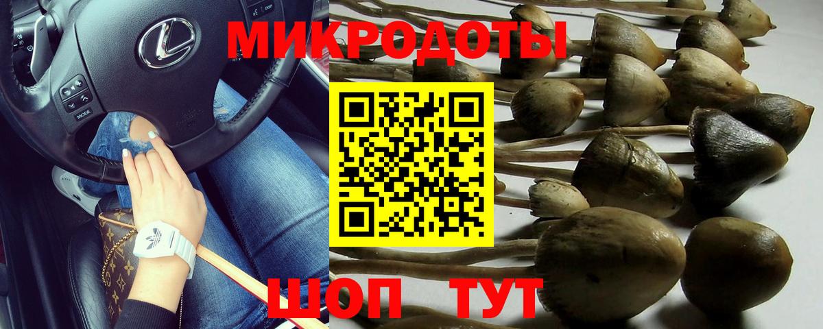 Мурино  Галлюциногенные грибы Cubensis  Галлюциногенные грибы мицелий  Вход с VPN 