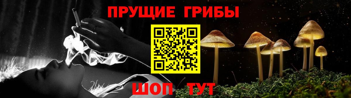 Галлюциногенные грибы мицелий Мурино
