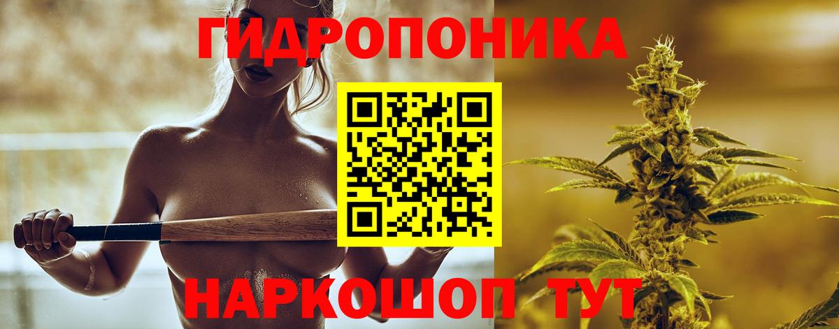 Шишки марихуана AK-47  Канабис план  Бошки марихуана Bruce Banner  Бошки Шишки Bruce Banner  Мурино  Вход с VPN 